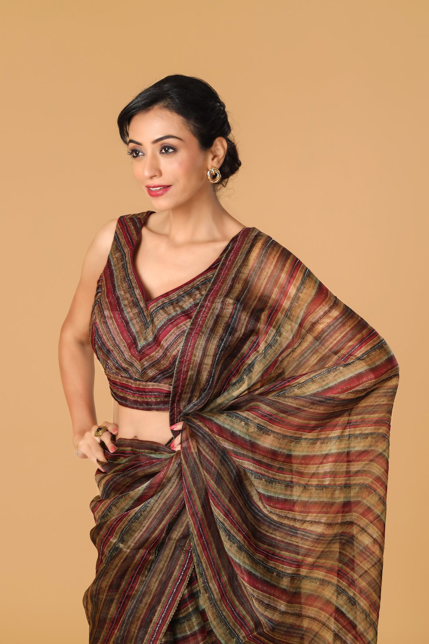 Multicolour Hand Embroidered Organza Saree